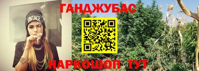 крисы Комсомольск-на-Амуре