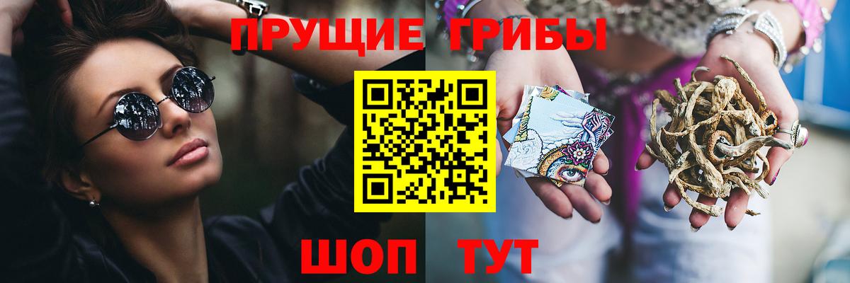 Галлюциногенные грибы мицелий  Вход с VPN  что такое наркотик  Псилоцибиновые грибы GOLDEN TEACHER  Киржач 